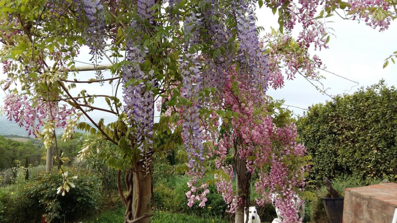 Villa La Moraiola Passignano sul Trasimeno Extérieur photo