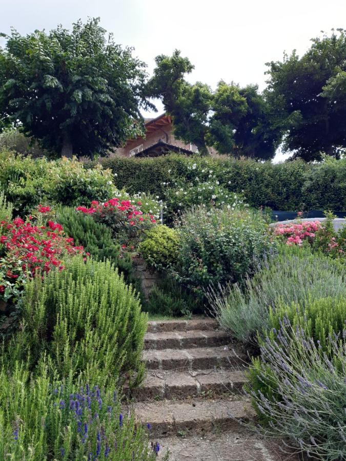 Villa La Moraiola Passignano sul Trasimeno Extérieur photo