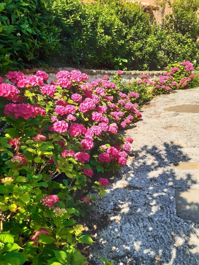 Villa La Moraiola Passignano sul Trasimeno Extérieur photo