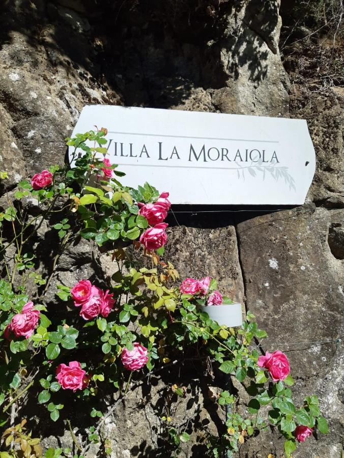 Villa La Moraiola Passignano sul Trasimeno Extérieur photo