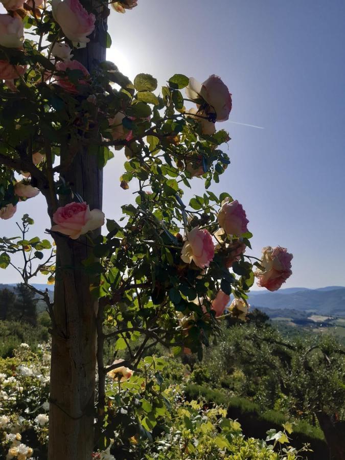 Villa La Moraiola Passignano sul Trasimeno Extérieur photo